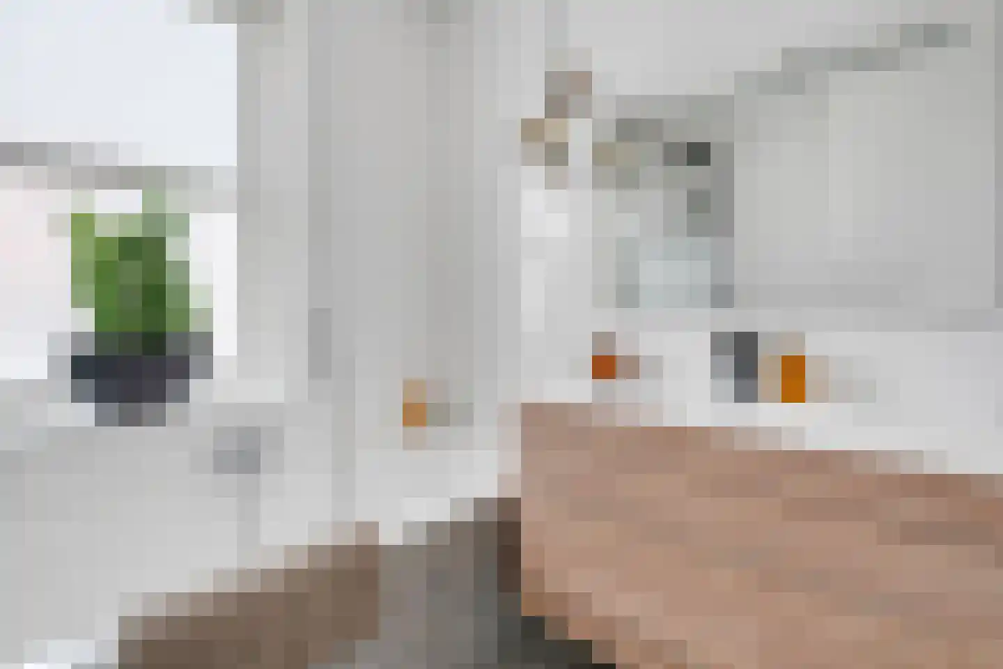 Vlierbes 48 Hengelo thumbnail 27