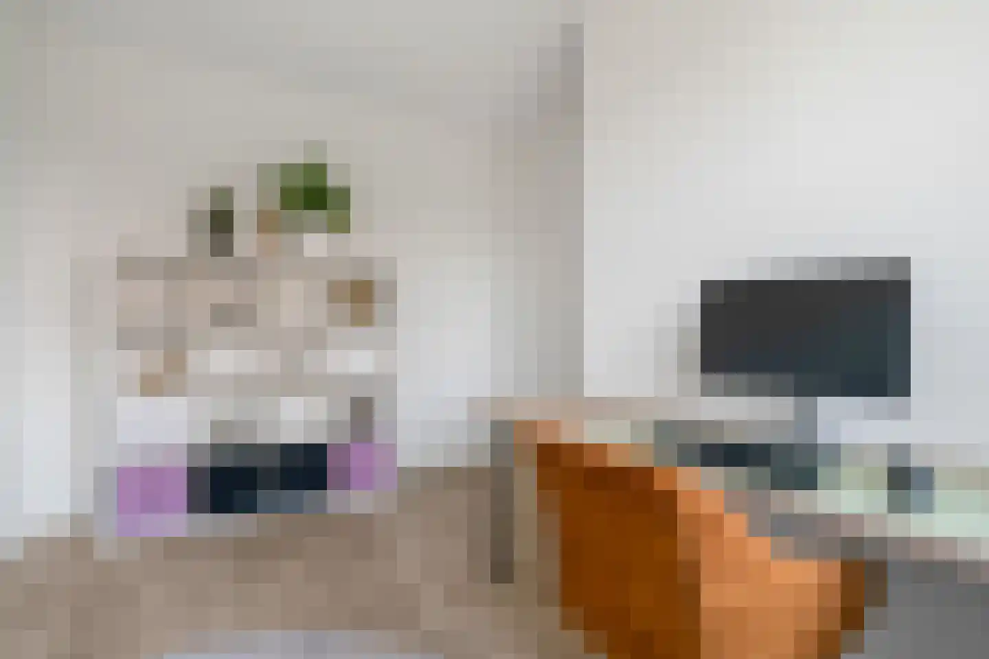 Vlierbes 48 Hengelo thumbnail 30