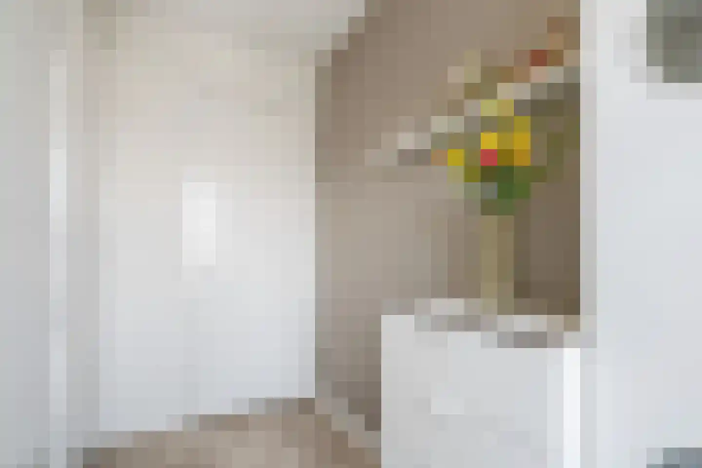 Vlierbes 48 Hengelo thumbnail 31