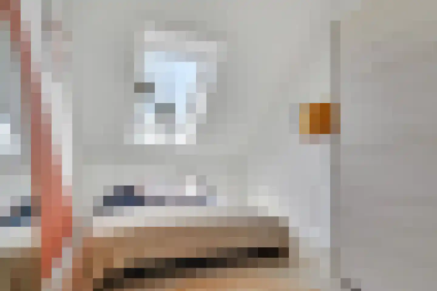 Vlierbes 48 Hengelo thumbnail 34