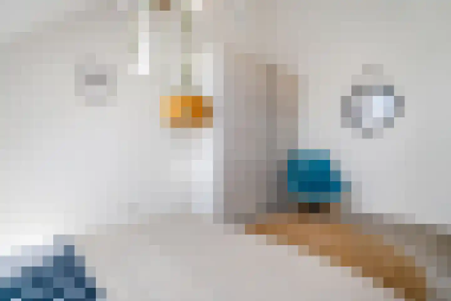 Vlierbes 48 Hengelo thumbnail 35