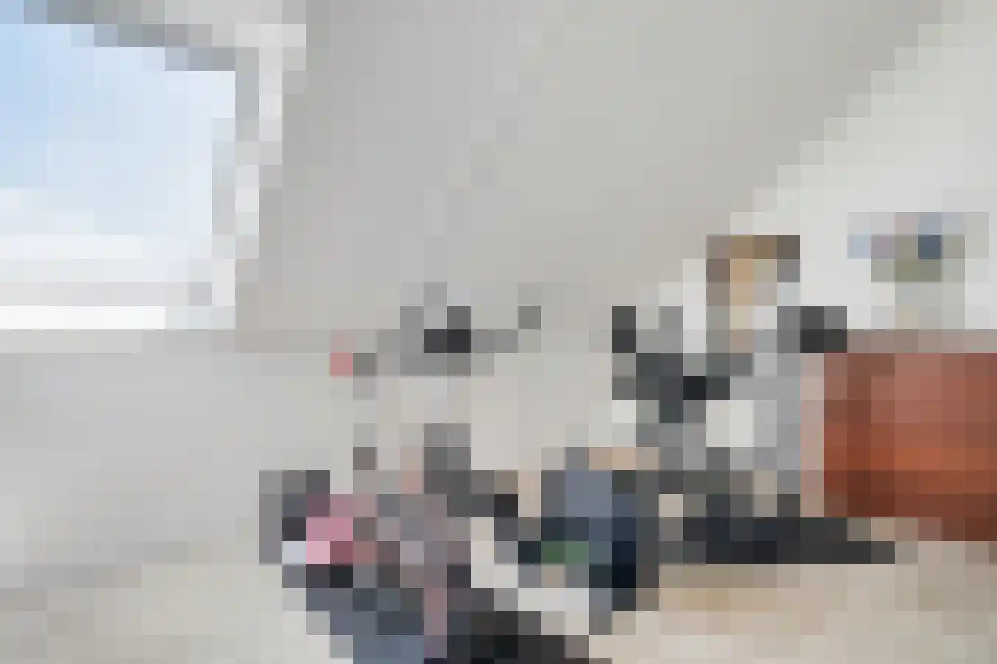 Vlierbes 48 Hengelo thumbnail 36