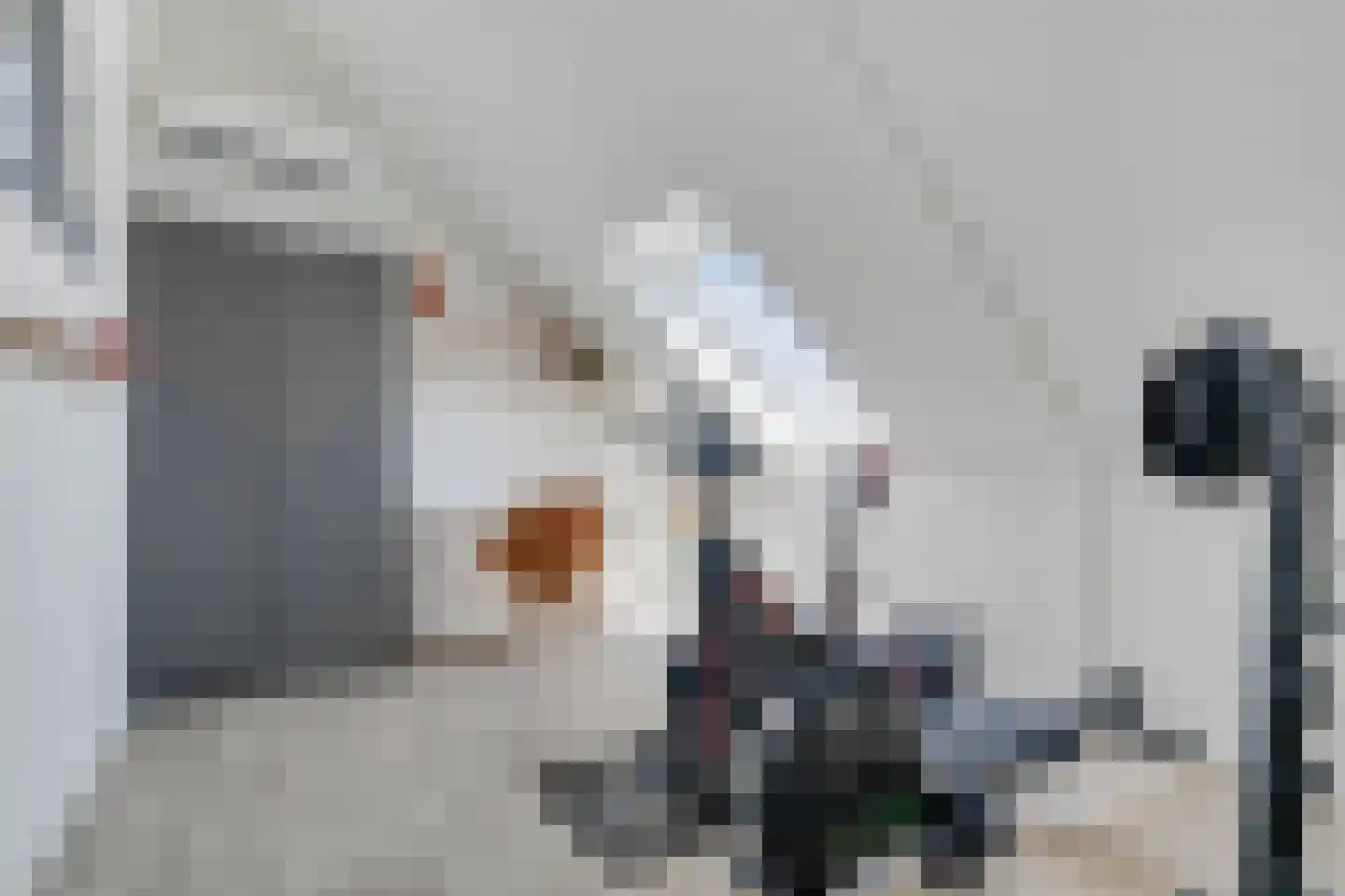 Vlierbes 48 Hengelo thumbnail 37