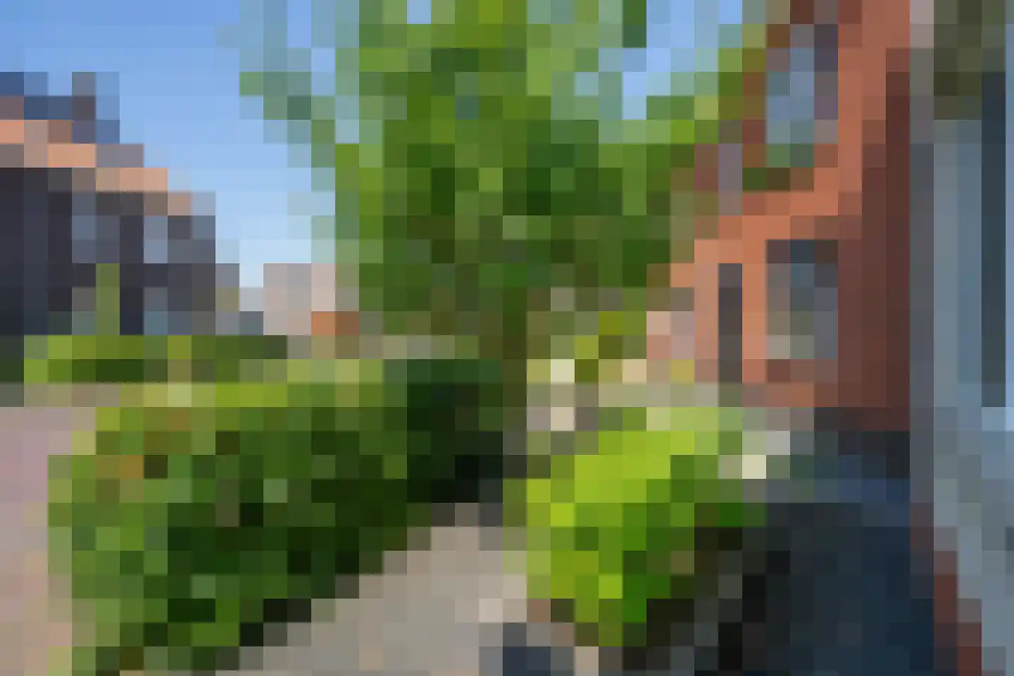 Vlierbes 48 Hengelo thumbnail 45