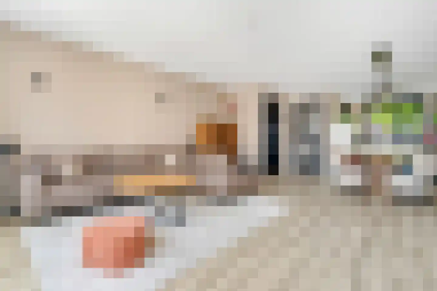 Vlierbes 48 Hengelo thumbnail 9