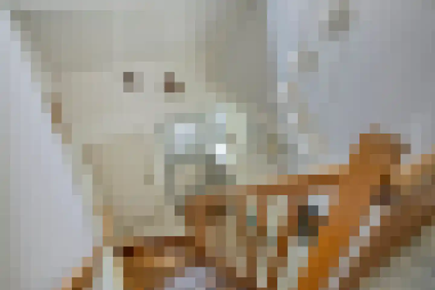 Vlierbes 6 Ruurlo thumbnail 17