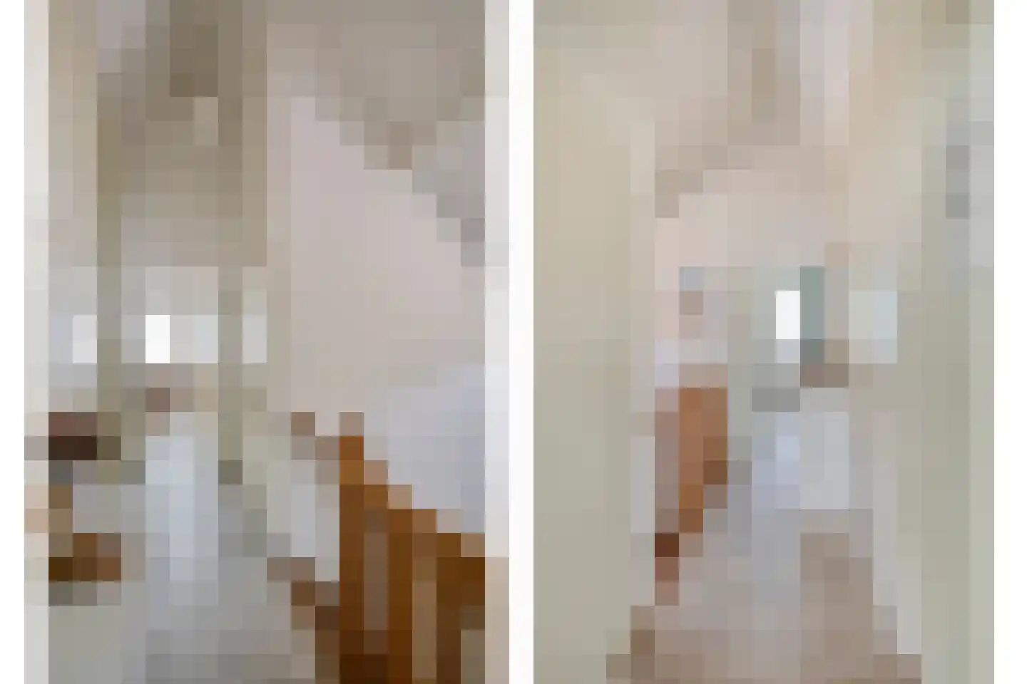 Vlierbes 6 Ruurlo thumbnail 18