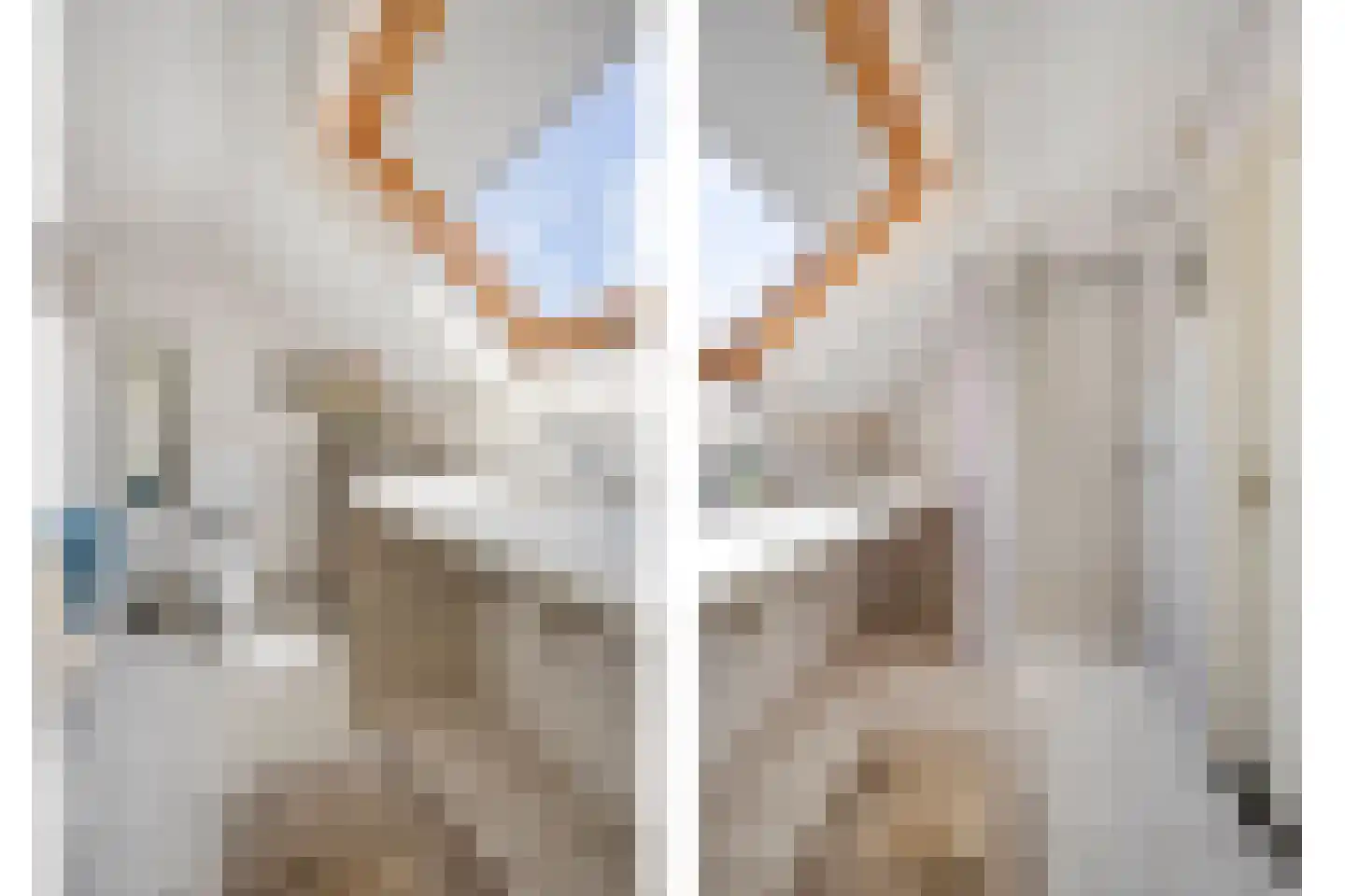 Vlierbes 6 Ruurlo thumbnail 22