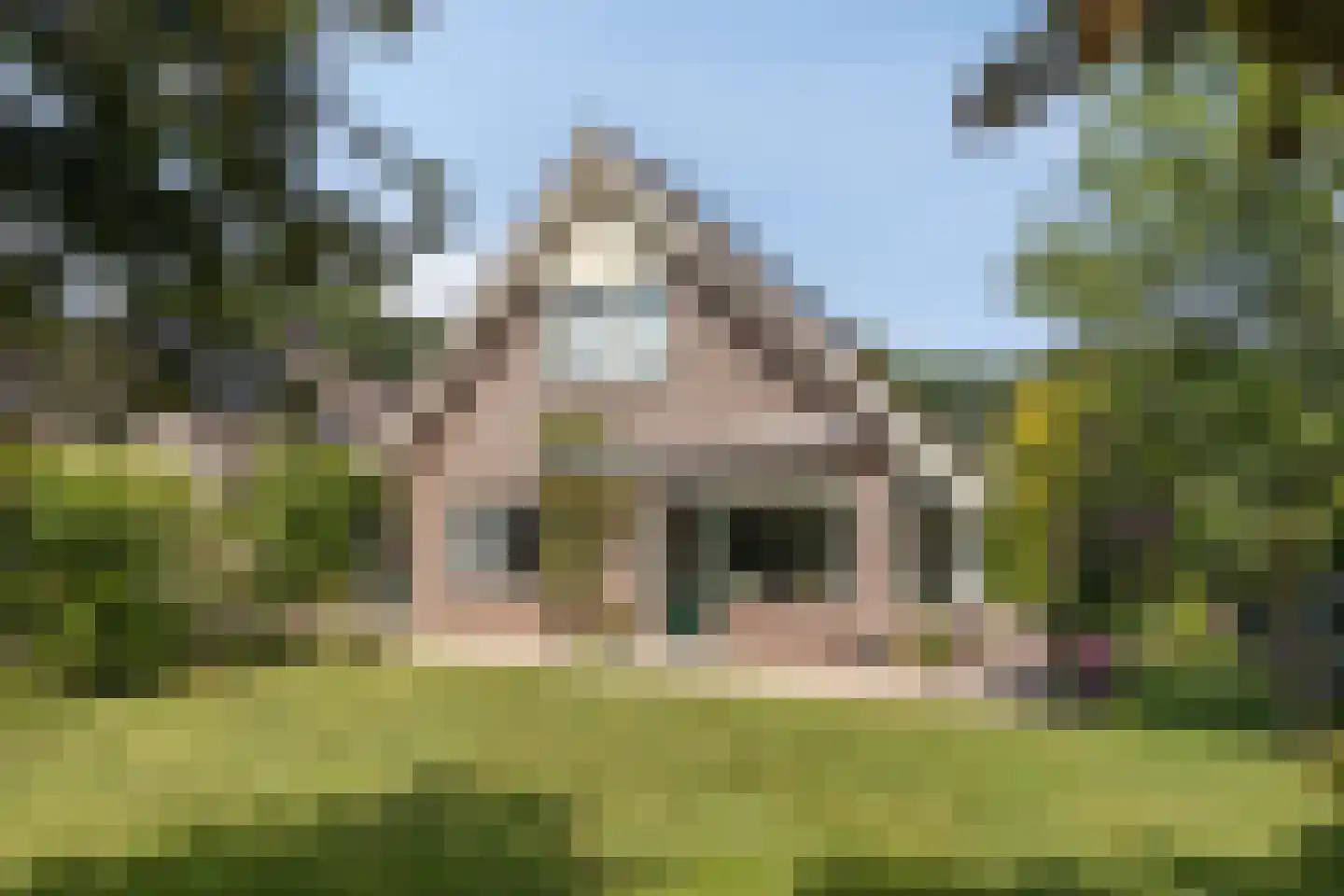Vlierbes 6 Ruurlo thumbnail 25