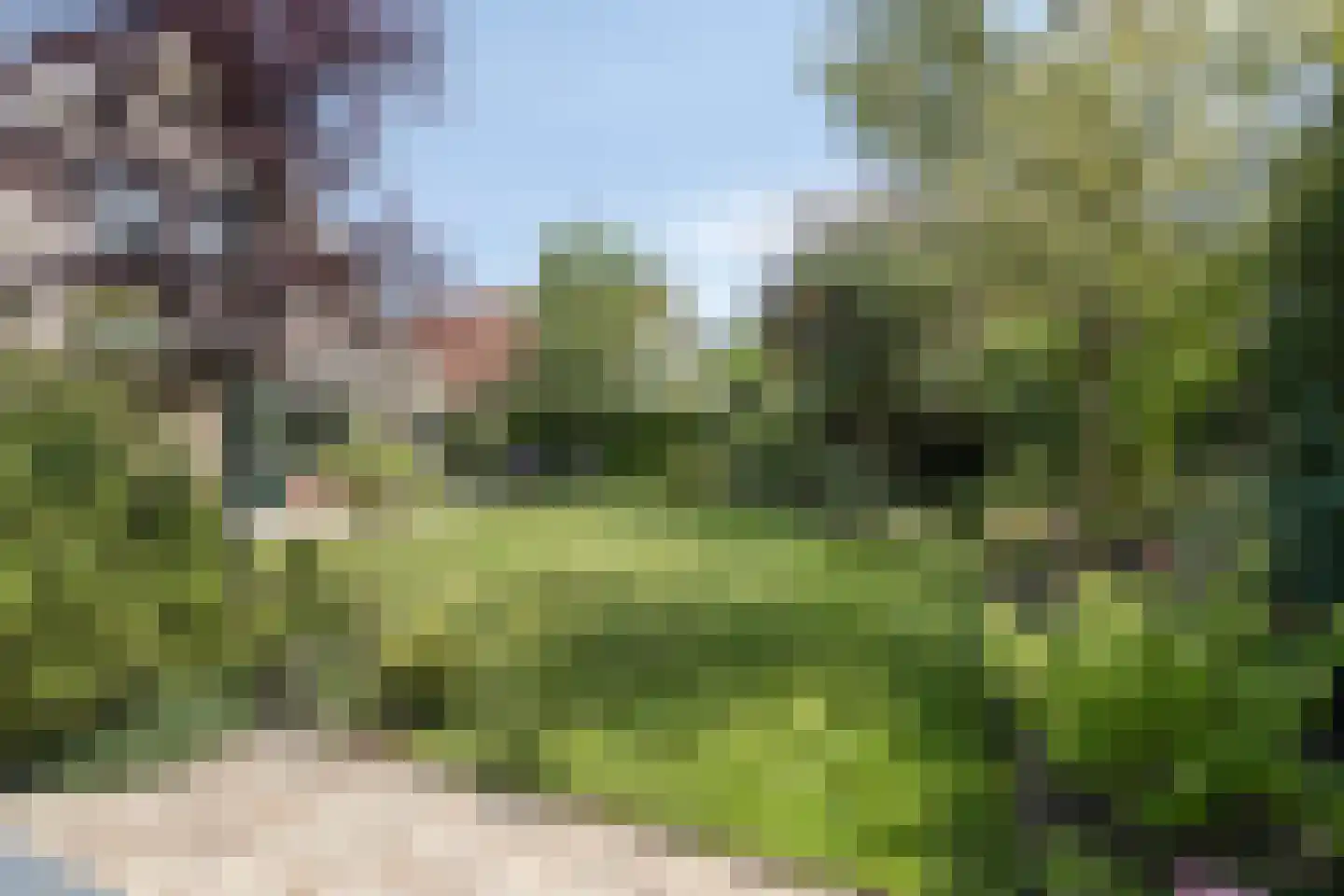 Vlierbes 6 Ruurlo thumbnail 30