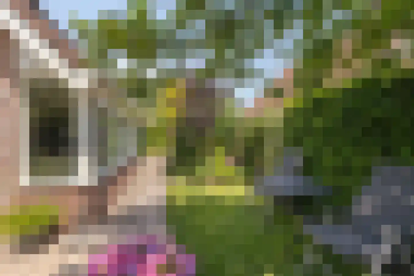 Vlierbes 6 Ruurlo thumbnail 32