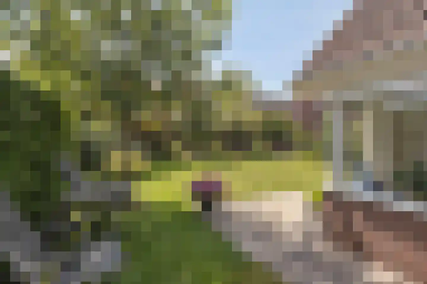 Vlierbes 6 Ruurlo thumbnail 33