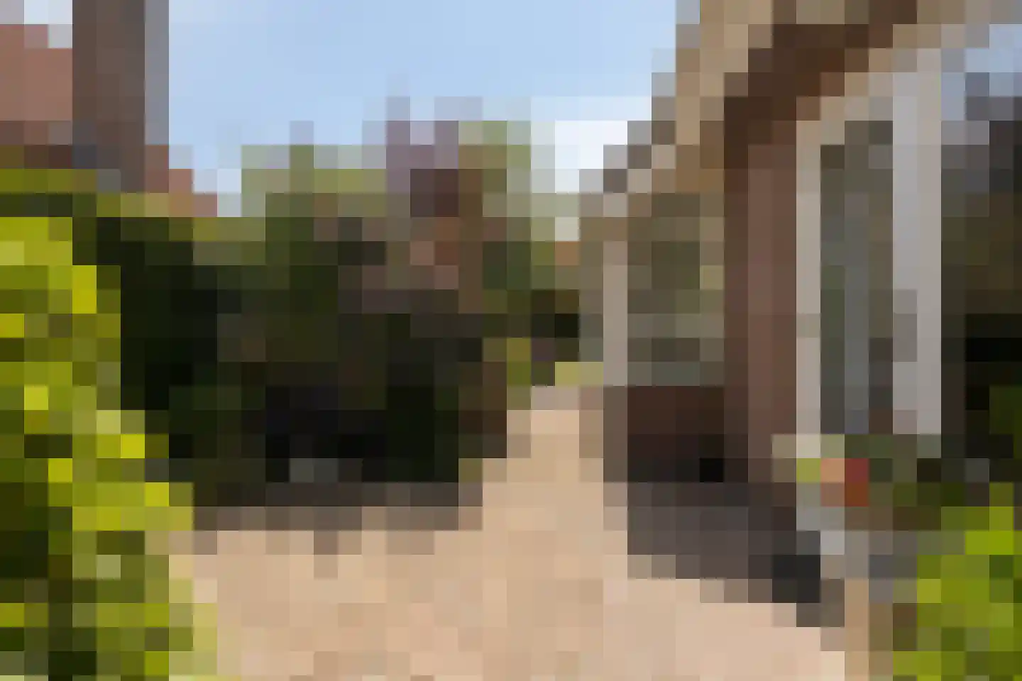 Vlierbes 6 Ruurlo thumbnail 35