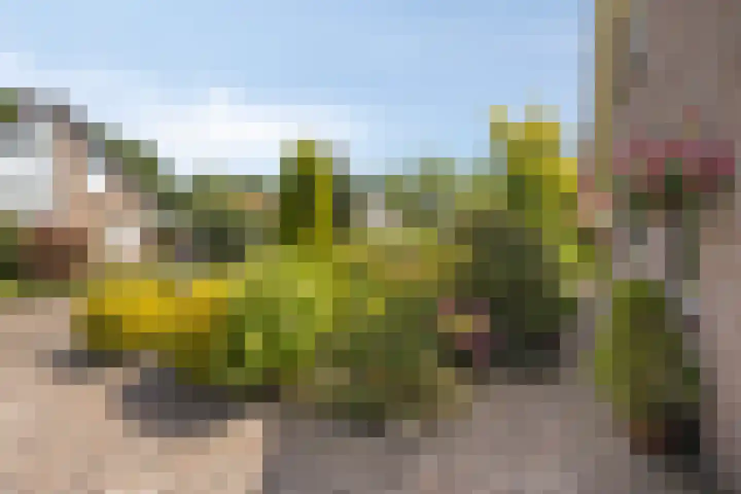 Vlierbes 6 Ruurlo thumbnail 37