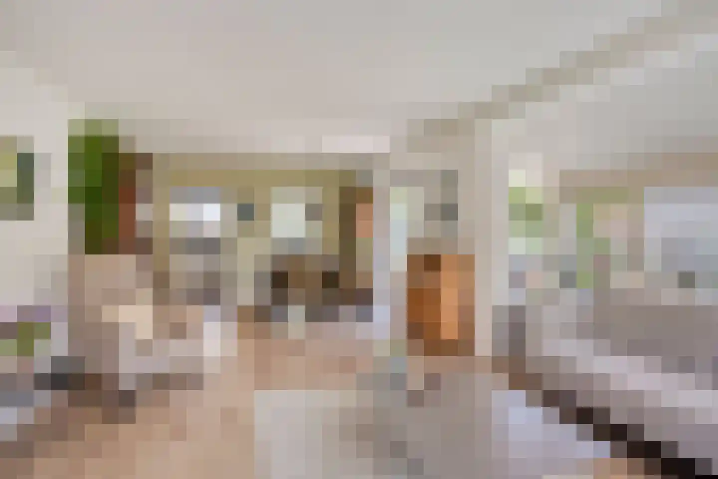 Vlierbes 6 Ruurlo thumbnail 5