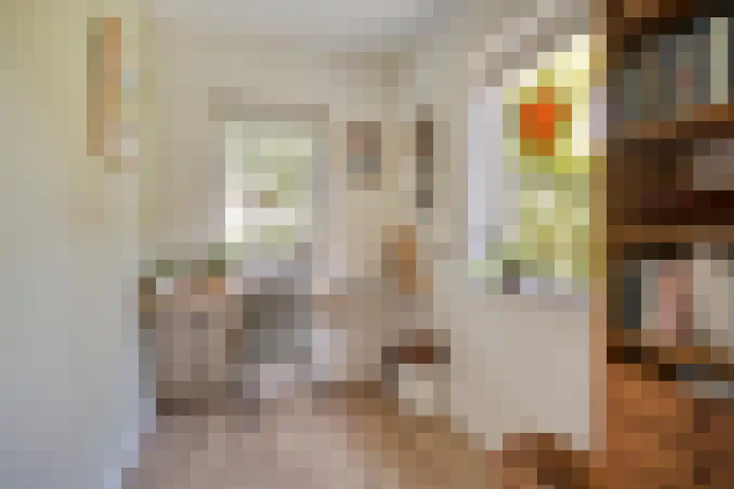 Vlierbes 6 Ruurlo thumbnail 7