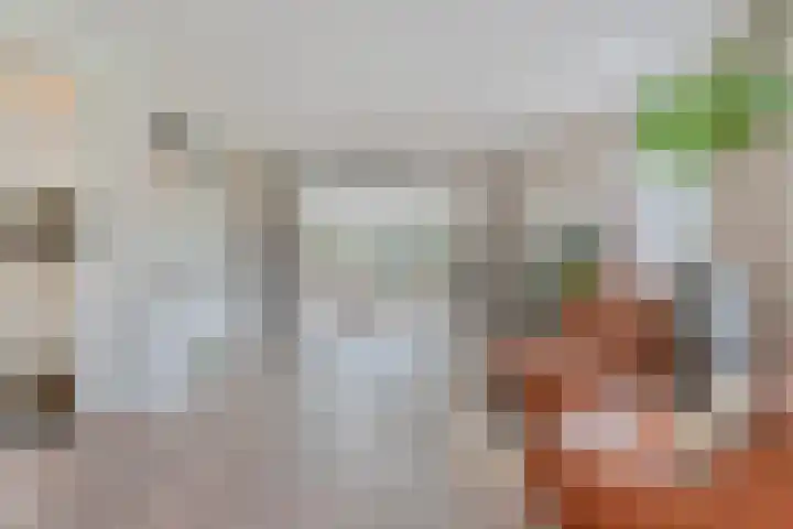 Vlierbes 7 Helmond thumbnail 17