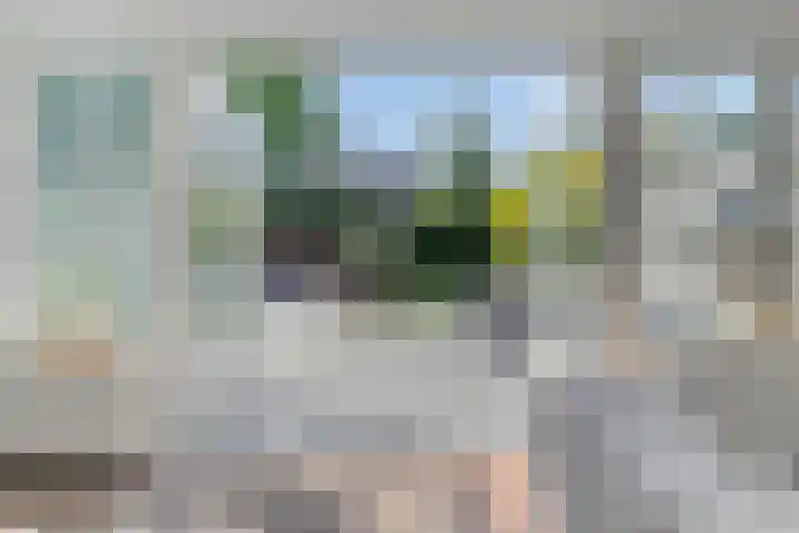Vlierbes 7 Helmond thumbnail 22