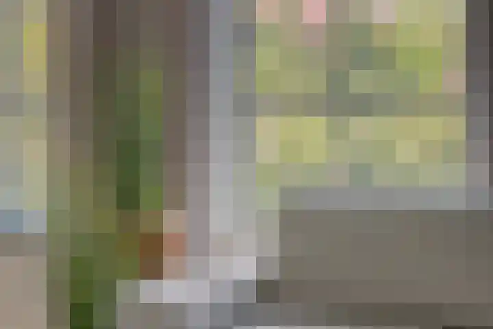Vlierbes 7 Helmond thumbnail 26
