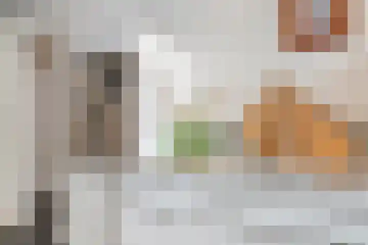 Vlierbes 7 Helmond thumbnail 27