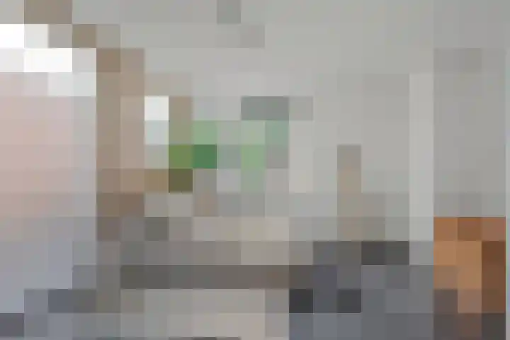 Vlierbes 7 Helmond thumbnail 32