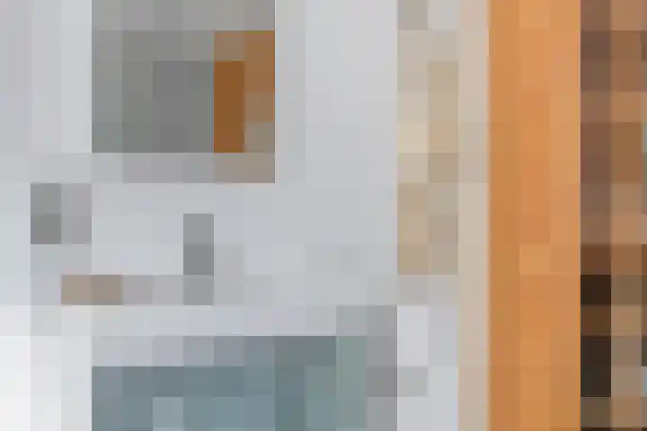 Vlierbes 7 Helmond thumbnail 34