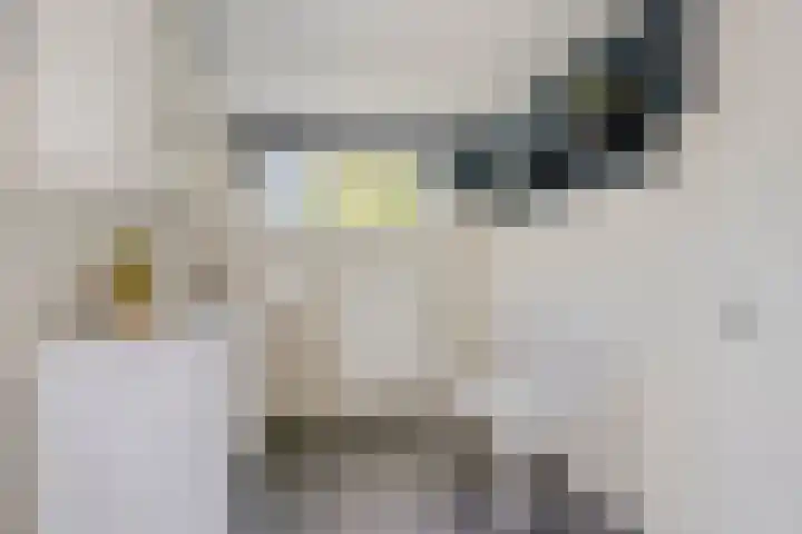 Vlierbes 7 Helmond thumbnail 37