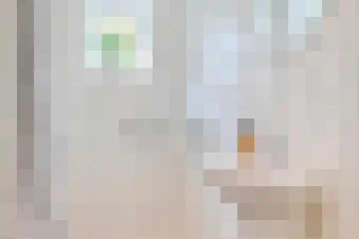 Vlierbes 7 Helmond thumbnail 38