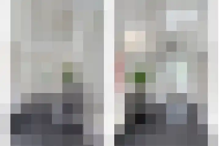 Vlierbes 7 Helmond thumbnail 40