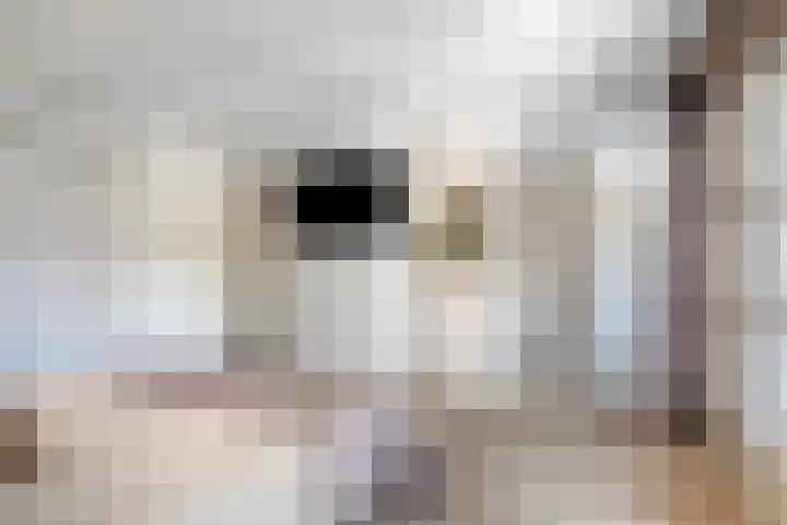 Vlierbes 7 Helmond thumbnail 47