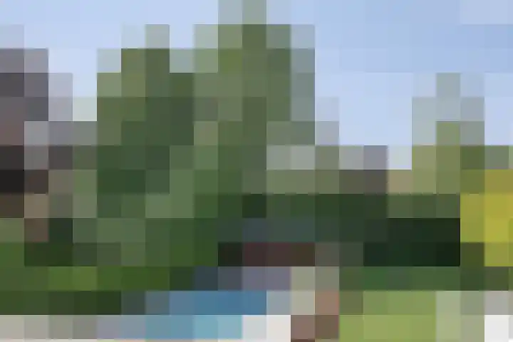 Vlierbes 7 Helmond thumbnail 49