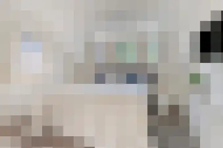 Vlierbes 7 Helmond thumbnail 53