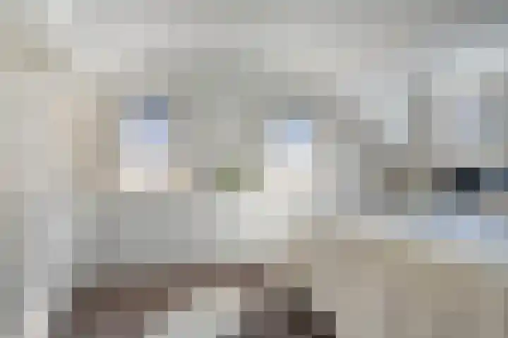 Vlierbes 7 Helmond thumbnail 55