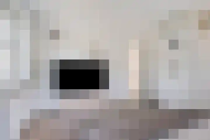 Vlierbes 7 Helmond thumbnail 57