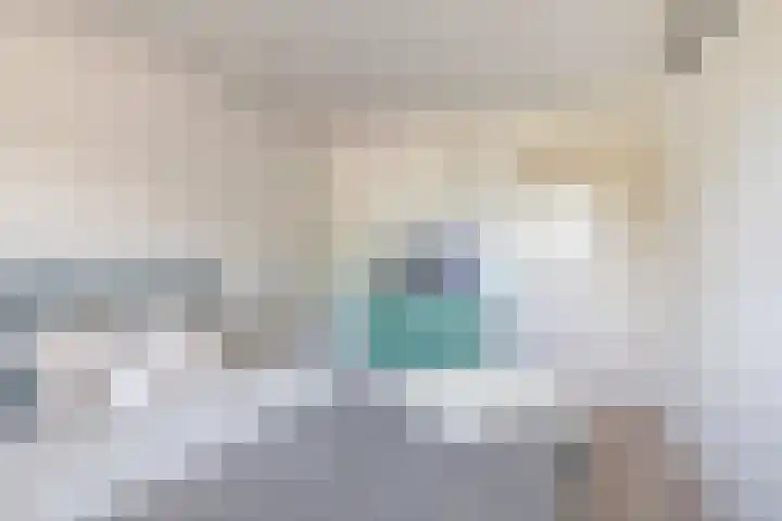 Vlierbes 7 Helmond thumbnail 59