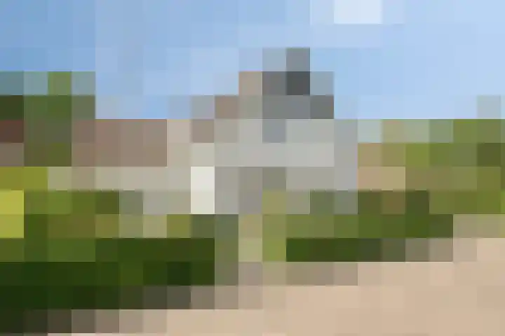 Vlierbes 7 Helmond thumbnail 6