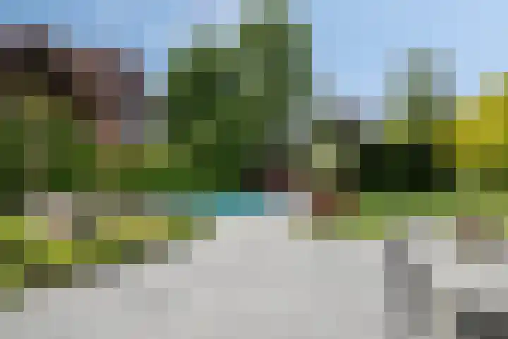 Vlierbes 7 Helmond thumbnail 63
