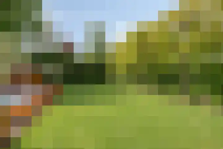 Vlierbes 7 Helmond thumbnail 64