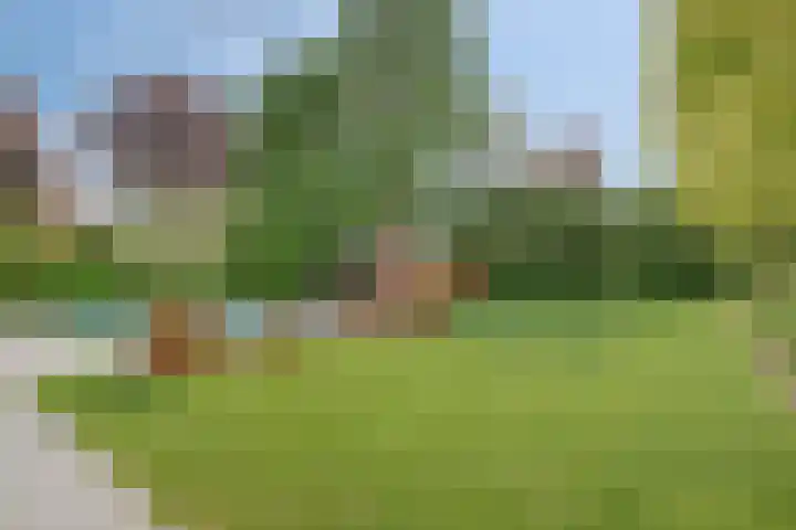 Vlierbes 7 Helmond thumbnail 65