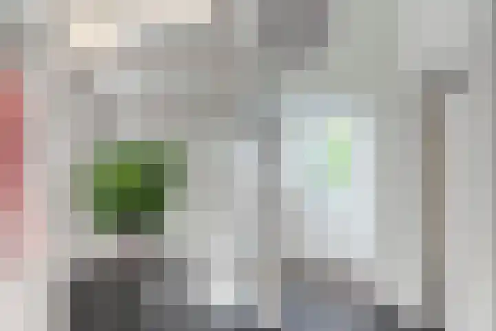 Vlierbes 7 Helmond thumbnail 7