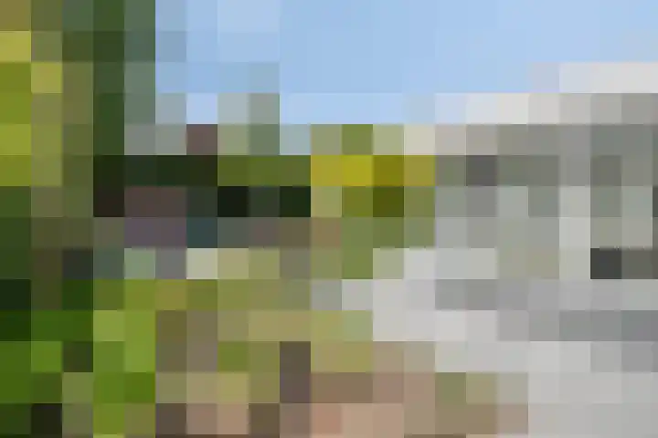 Vlierbes 7 Helmond thumbnail 72