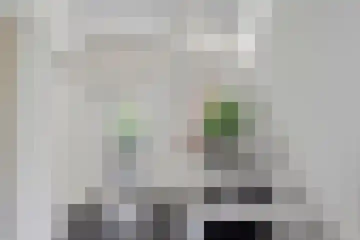 Vlierbes 7 Helmond thumbnail 8