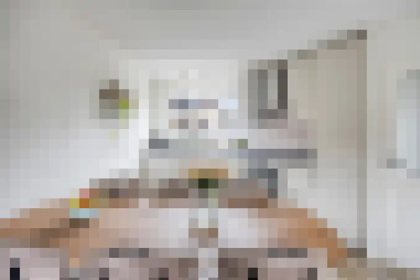 Vlierbeshof 10 Papendrecht thumbnail 10