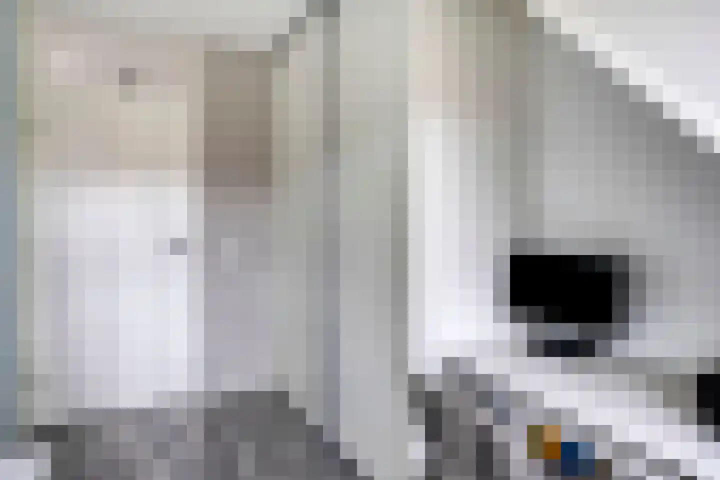 Vlierbeshof 10 Papendrecht thumbnail 20