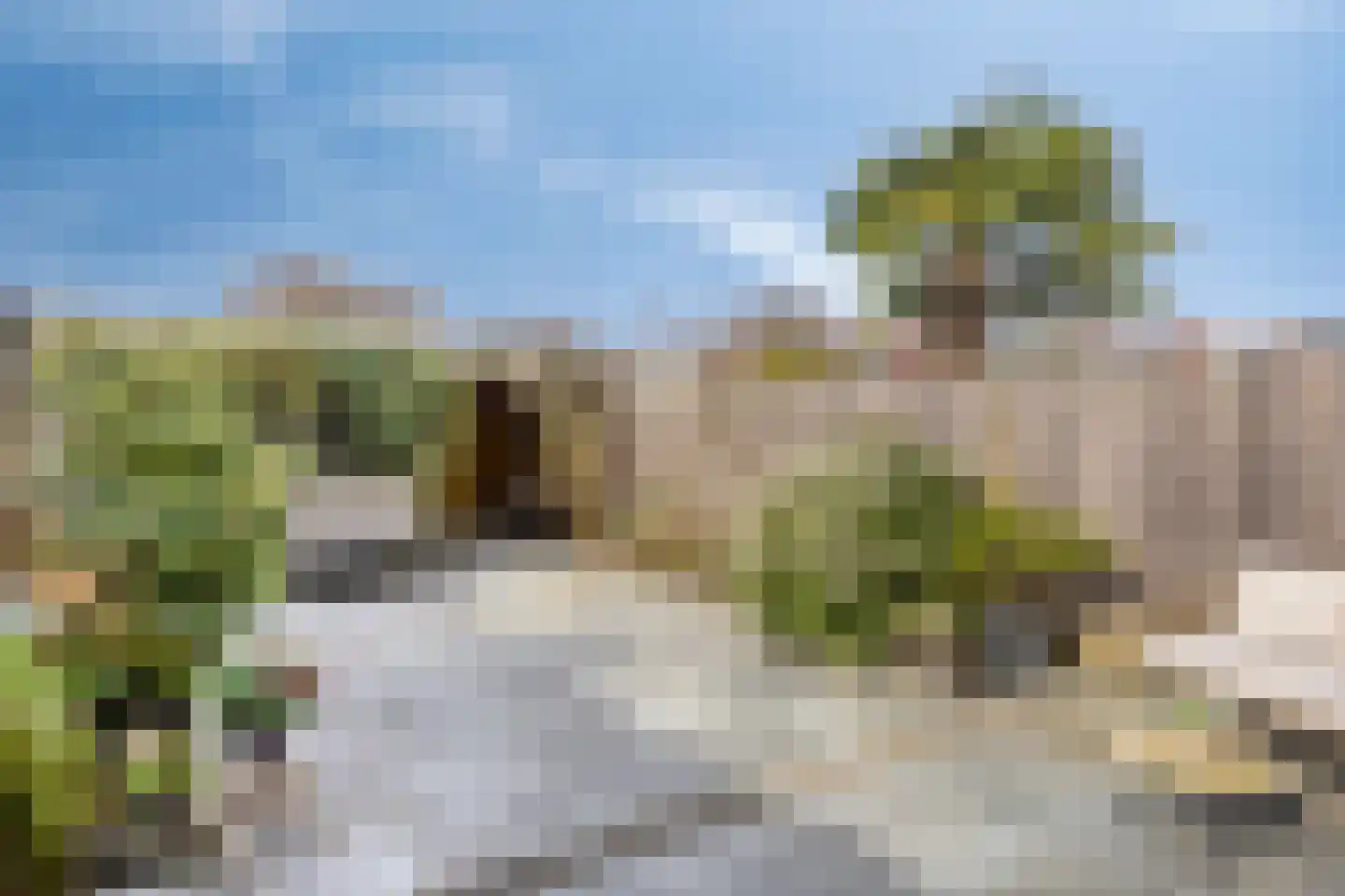 Vlierbeshof 10 Papendrecht thumbnail 27