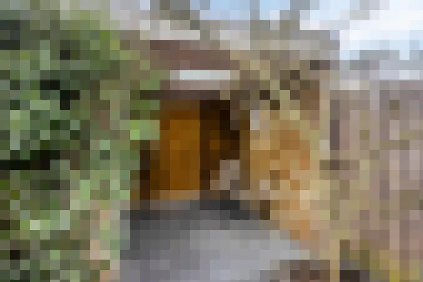 Vlierbeshof 10 Papendrecht thumbnail 29