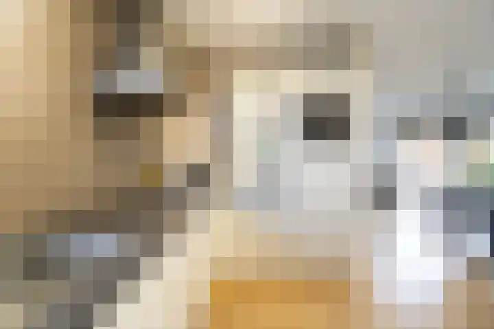 Vlierbeshof 6 Papendrecht thumbnail 10