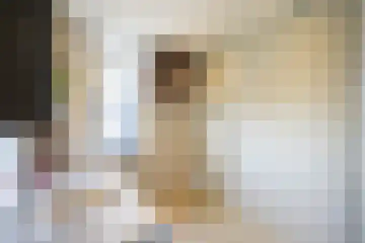Vlierbeshof 6 Papendrecht thumbnail 18