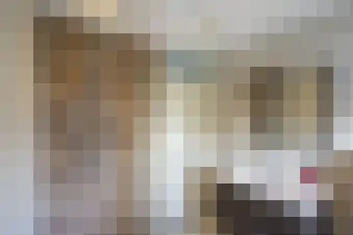 Vlierbeshof 6 Papendrecht thumbnail 19
