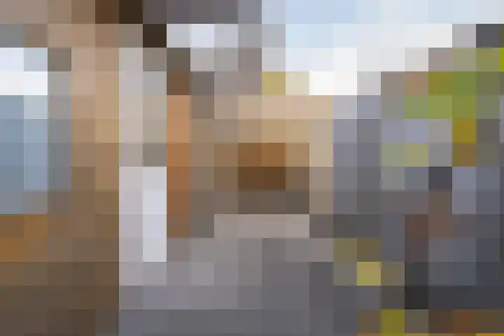 Vlierbeshof 6 Papendrecht thumbnail 26